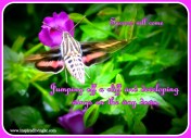 wings
