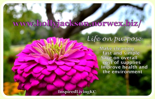 Norwex life on purpose